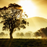 5.Morning has Broken
