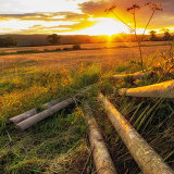 6.Sunrise