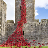 Weeping Window 1