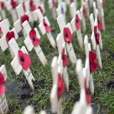 Weeping Window 5