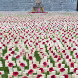 Weeping Window 6