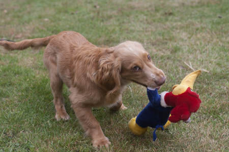 playtime