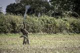 2nd Nov 2019-5604