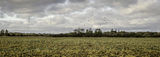 2nd Nov 2019-5720