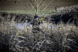 Chicksands Beaters-8034