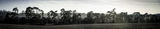 Chicksands Beaters-
