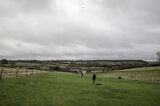 Lilley Shoot 13th Dec 2021-0397