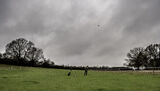Lilley Shoot 13th Dec 2021-0438
