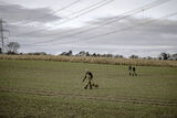 Lilley Shoot 13th Dec 2021-0543