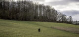 Lilley Shoot 13th Dec 2021-0710
