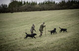 Lilley Shoot 13th Dec 2021-0831