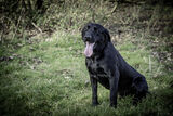 Lilley Shoot 13th Dec 2021-0978