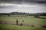 Lilley Shoot 13th Dec 2021-2116