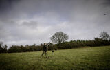 Lilley Shoot 13th Dec 2021-2171