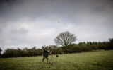 Lilley Shoot 13th Dec 2021-2201