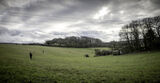 Lilley Shoot 13th Dec 2021-2242
