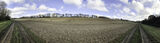 Roe End 5-12-20-1162