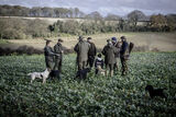 Roe End 5-12-20-2778