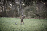 Roe End 5-12-20-3113