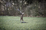 Roe End 5-12-20-3136