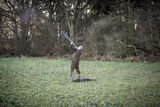 Roe End 5-12-20-3137