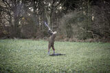 Roe End 5-12-20-3138