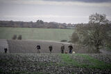 Roe End 5-12-20-3164
