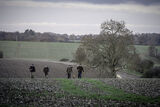 Roe End 5-12-20-3165