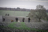 Roe End 5-12-20-3166