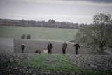 Roe End 5-12-20-3167