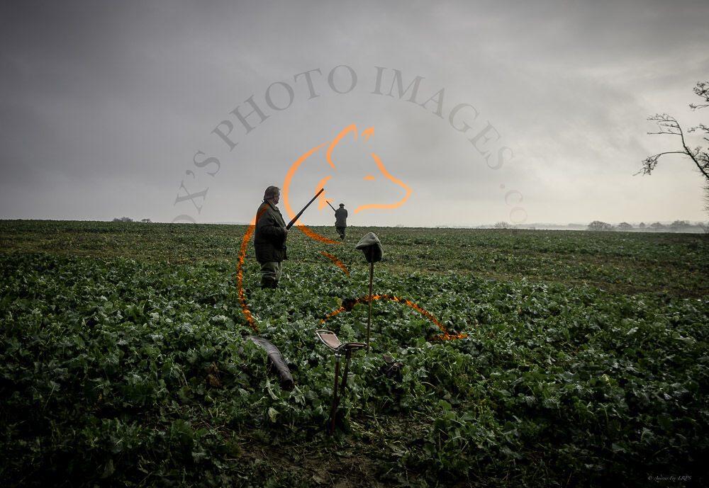 Stag 15th 2022-2460