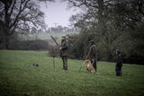 Stag 29th Dec 21-1084
