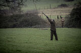 Stag 29th Dec 21-1091