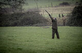 Stag 29th Dec 21-1093