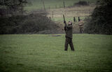 Stag 29th Dec 21-1095