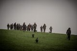 Stag 29th Dec 21-1100