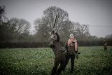 Stag 29th Dec 21-1155