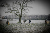 Stag 29th Dec 21-1185