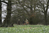 Stag 29th Dec 21-1234