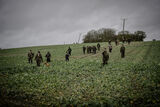 Stag 29th Dec 21-1340