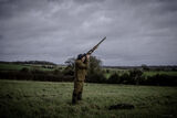 Stag 29th Dec 21-1387
