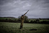 Stag 29th Dec 21-1389