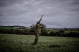 Stag 29th Dec 21-1396