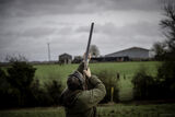 Stag 29th Dec 21-1434