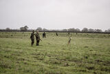 Wilstead 12-12-20-3206
