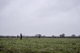 Wilstead 12-12-20-3234