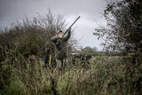 Wilstead 12-12-20-3310