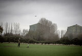 Wilstead 12-12-20-3346