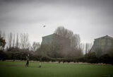 Wilstead 12-12-20-3347