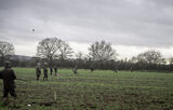Wilstead 12-12-20-3443